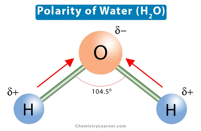 Polarity of water